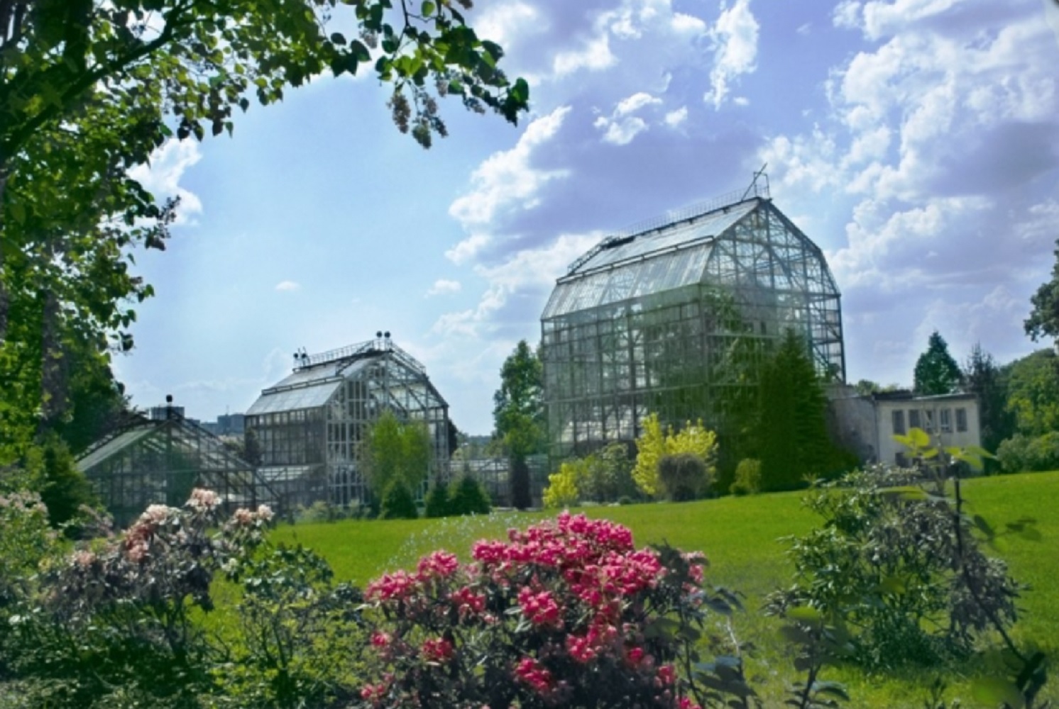 Рай на земле. 5 самых крутых ботанических садов Украины